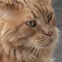 Photo de profil de Pasiphaé473698