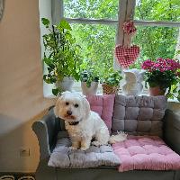Photo de profil de Titania669799