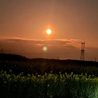 Photo de profil de Pulsar71139