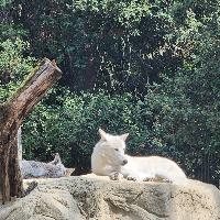 Photo de profil de LAMISS77
