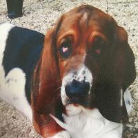 Photo de profil de bernard62260