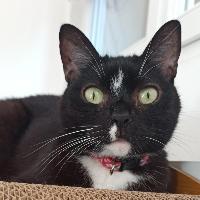 Photo de profil de Camille88