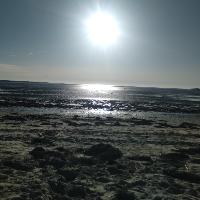 Photo de profil de AuroreBoreale777755