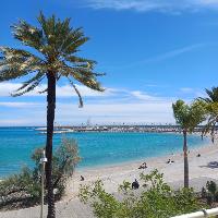 Photo de profil de Andromède705707