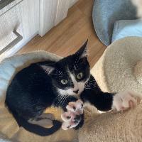 Photo de profil de Leonov399694
