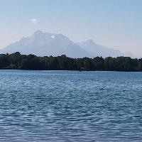 Photo de profil de Nova880535