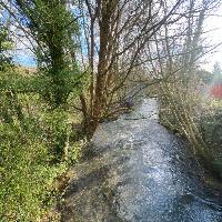 Chti59