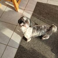 Photo de profil de Freddy