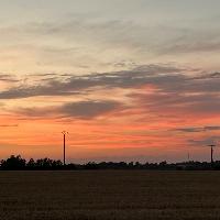 Photo de profil de Canopus579152