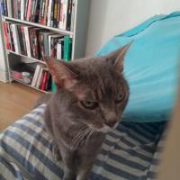 Photo de profil de Sennac