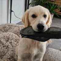 Photo de profil de Io190184