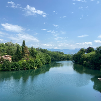 Membre Hauméa794253