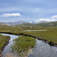 Membre Ensisheim333487