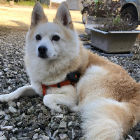 Membre Umbriel604988