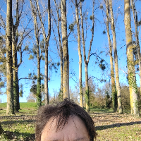 Membre Hauméa618582