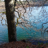 Membre ArendRoland40155