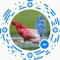 Member Makémaké773842