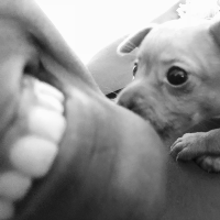 Membre Senoritasefue973