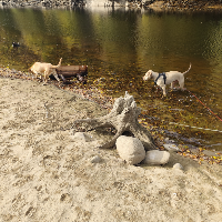 Membre Astéroïde450209