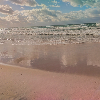 Member Météore651846