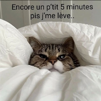 Membre MeteorCrater266241