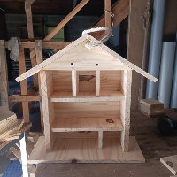 Membre Allende401833