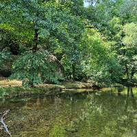 Membre SwiftTuttle116855