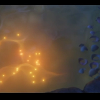 Membre Ananké520275