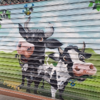 Membre HaleBopp329223