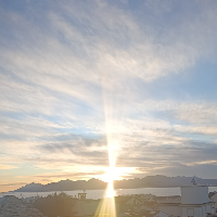 Membre Prométhée963509