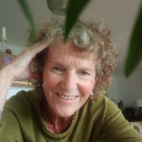 Membre Hyakutake500273