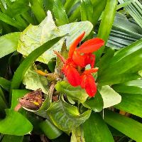 Membre Prométhée915151