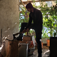 Membre Willamette669834