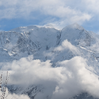 Membre Cordélia797691