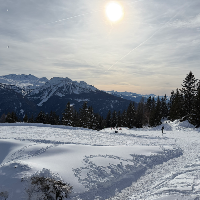 Membre Orbital520126