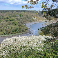 Membre Larissa121596