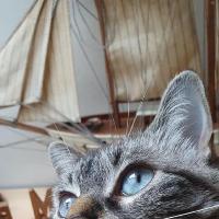 Photo de profil de Rhéa502176