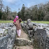 Photo de profil de Paddington