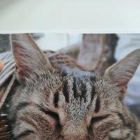 Photo de profil de Hyakutake967182