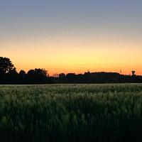 Photo de profil de AuroreBoreale514143